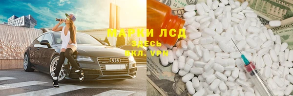 индика Белоозёрский