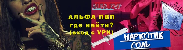 индика Белоозёрский