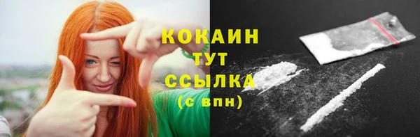 индика Белоозёрский