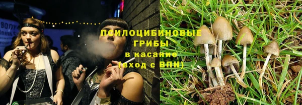 стаф Балахна