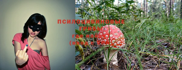 индика Белоозёрский